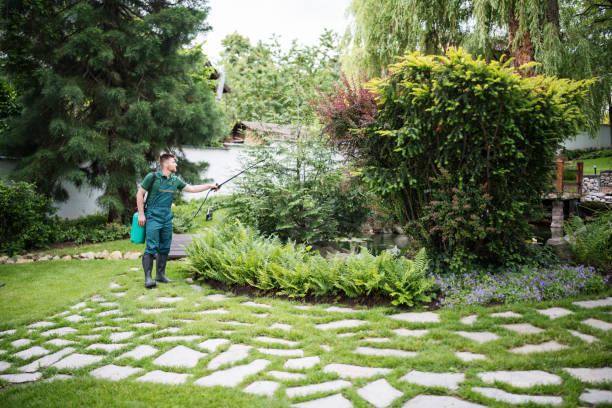 Best Pest Control Near Me in North Lakeville, MA