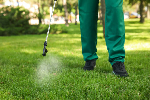 North Lakeville, MA Pest Control Company