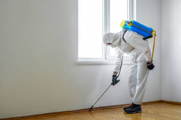 Trusted North Lakeville, MA Pest Control Experts