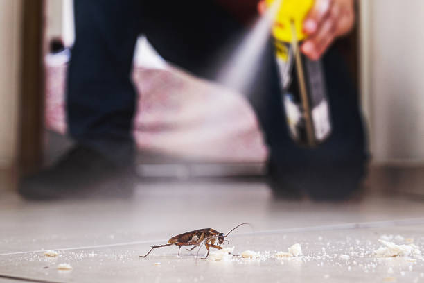 Best Cockroach Control Services  in North Lakeville, MA